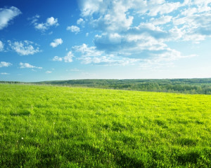 Stabila ca pamantul care da hrana tuturor.