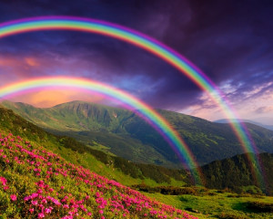 Cu un curcubeu vesel.