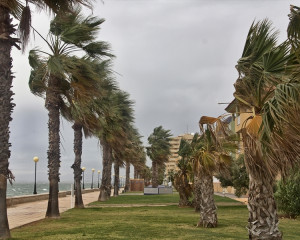 Cu vantul care nimiceste in calea lui. 