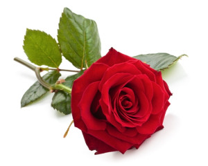 Romantism, maturitate, echilibru