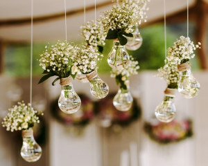 Originalitate, activism, evolutie