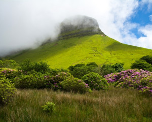 Tir na nOg, taramul tineretii vesnice