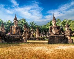 Shambhala, taramul intelepciunii