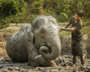 Sa traiesti in armonie cu toate fiintele din jurul tau. 