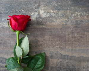 Trandafirul pasional