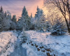 Sarbatorile de iarna