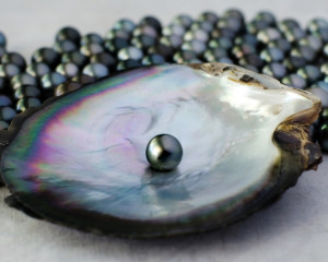 Perla (1, 9, 17 sau 25 ale lunii)