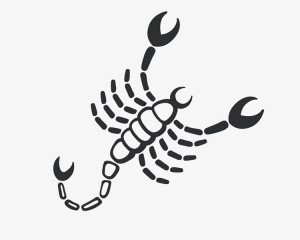 Scorpion