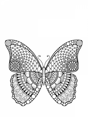 Fluturele elegantei.