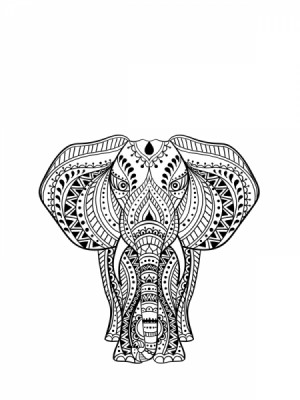 Elefantul norocului. 