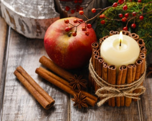 Scortisoara sau anason