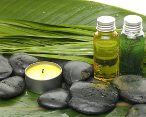 Iarba proaspat taiata sau bambus