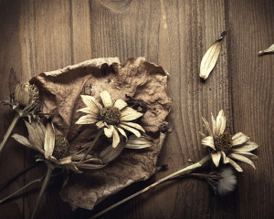 capacitatea de a sterge orice amintire neplacuta.