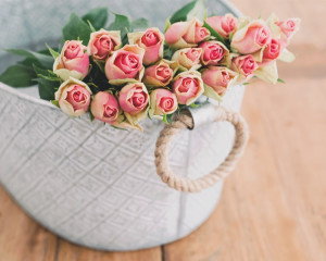 roze