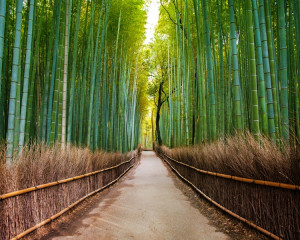 calatoria care te imbogateste spiritual. 