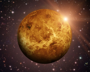 Venus 