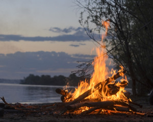 Trosnetul lemnului din foc. 