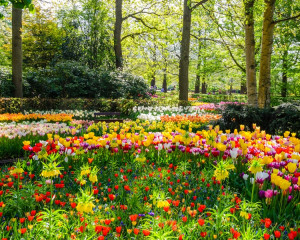 vesela ca primavara.