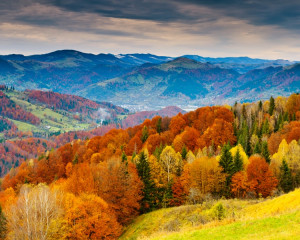 misterioasa ca toamna. 