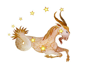 Capricorn