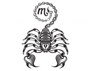 Scorpion