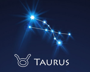 Taur