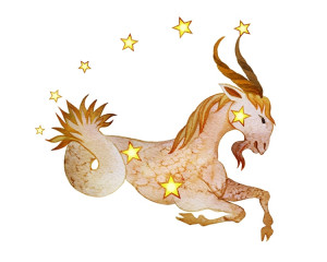 Capricorn