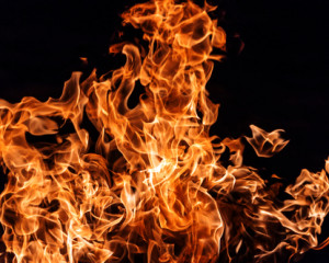 Foc.