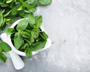 Menta.