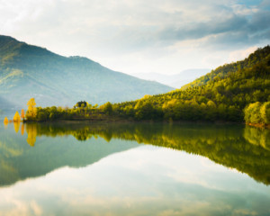 Lac.
