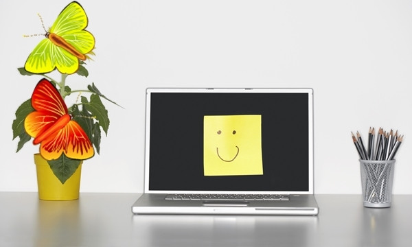 Ce floare se afla pe birou?