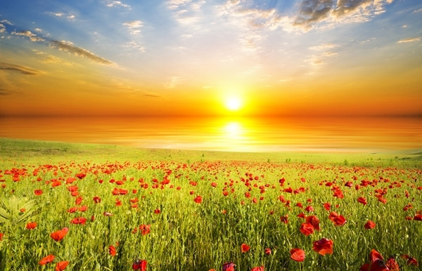 Antonimul cuvantului diurn  este...   