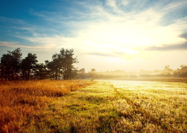 In ce moment al zilei te-ai nascut? 