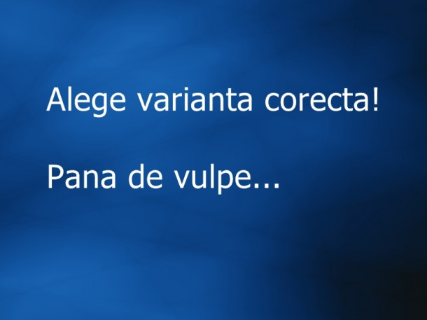 Fashionistele mana sus!