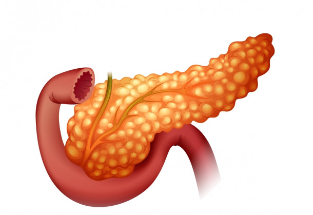 Ce secreta pancreasul?