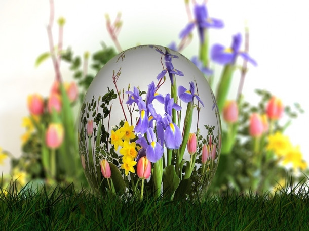 Cand vine primavara, abia astepti...