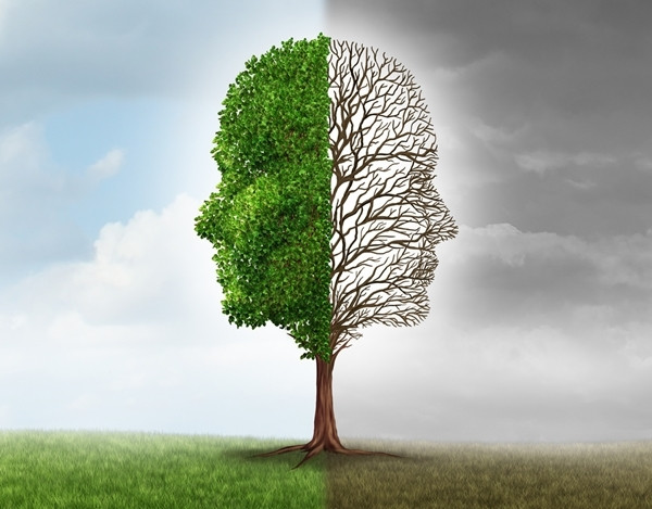 Care sunt sentimentele tale dupa ce ai iesit din padure?