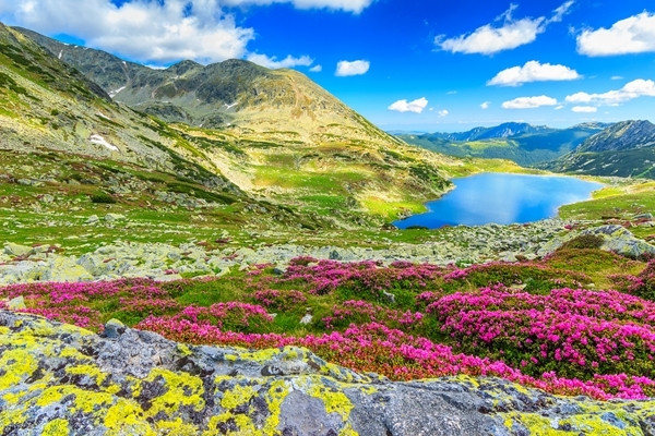 Care este cel mai inalt varf muntos din Romania?
