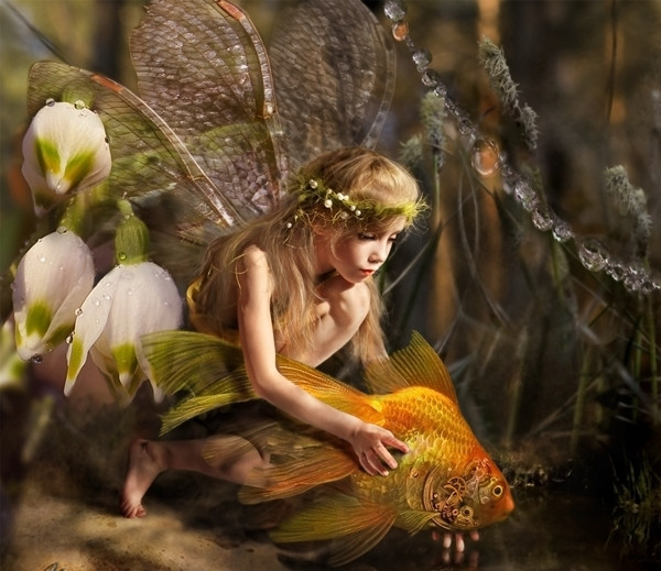 Ce i-ai cere pestisorului auriu?