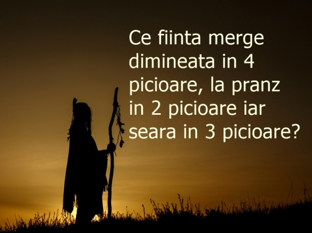 Ai iesit invingator din lupta si te afli in fata salasului in care traieste ghidul tau spiritual insa ca sa ajungi la el trebuie sa raspunzi corect la ghicitoare!