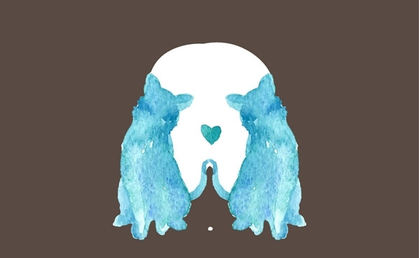 Care este primul lucru pe care il vezi in aceasta imagine?