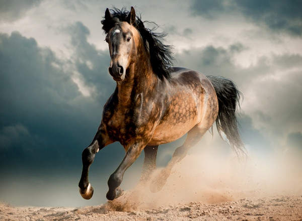 Ce pereche nu se potriveste?