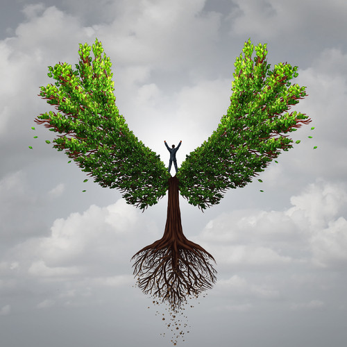 Pentru a reusi in viata, oamenii au nevoie de...