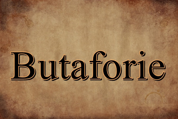 Ce inseamna acest cuvant?