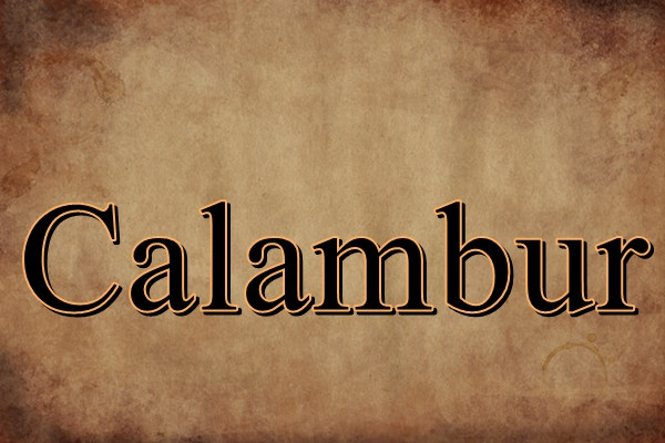 Ce inseamna acest cuvant?