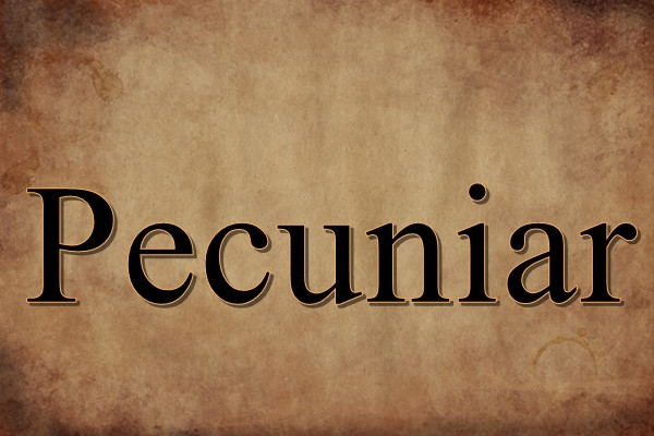 Ce inseamna acest cuvant?