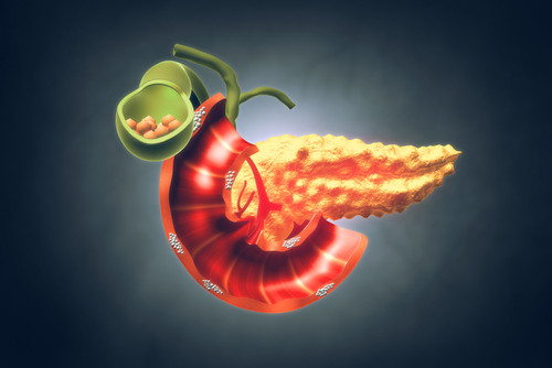 Pancreasul secreta...