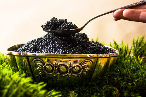 Caviarul provine de la...