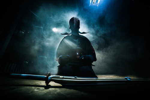 Cine a scris SHOGUN?