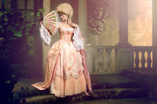 Cine a scris MADAME BOVARY?